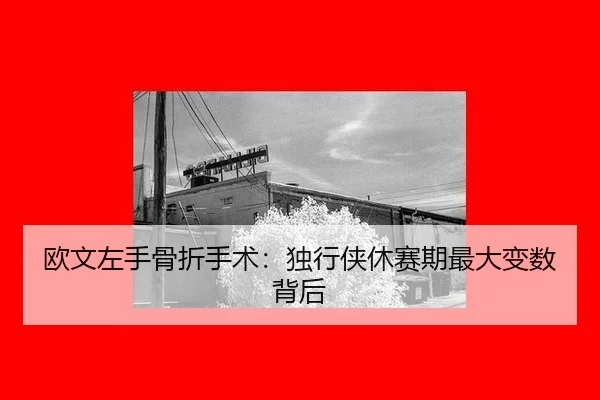 ou-wen-zuo-shou-gu-zhe-shou-shu-du-xing-xia-xiu-sai-qi-zui-da-bian-shu-bei-hou-2-348.jpg